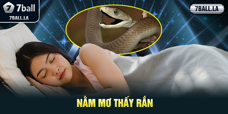 Nằm mơ thấy rắn